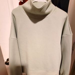 Womans Calia brand mint color size large excellent  condition